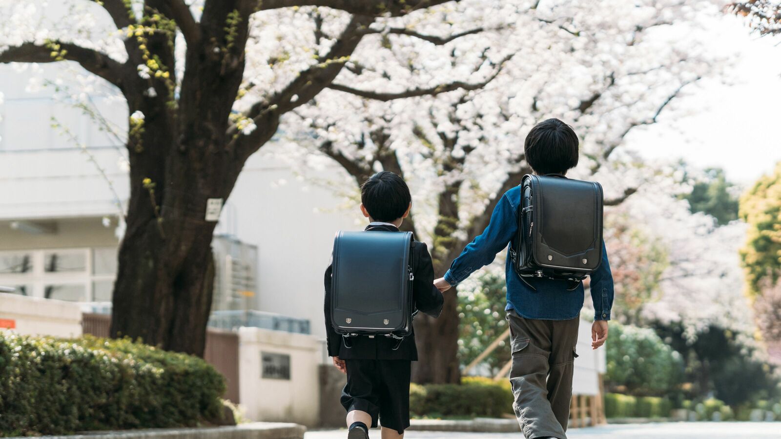 ｢1～3月生まれは不利｣は本当なのか…脳科学者が指摘する｢早生まれ｣と｢遅生まれ｣の決定的違い 成績が振るわない子には別の理由がある